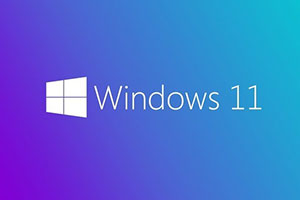 Tổng hợp tính năng nổi bật của Windows 11 Business & Enterprise